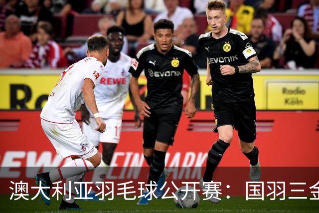 澳大利亚羽毛球公开赛：国羽三金两银收官